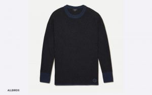 allbirds jumper